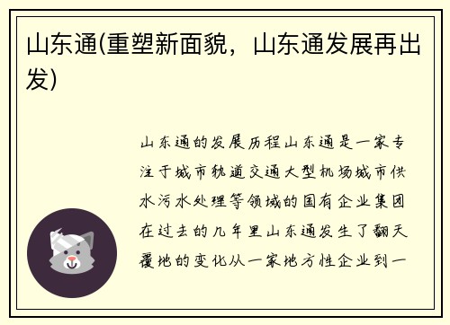 山东通(重塑新面貌，山东通发展再出发)