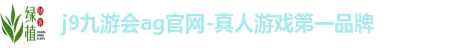j9九游会官网
